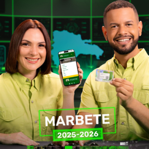 Ventajas financieras de renovar tu marbete a tiempo