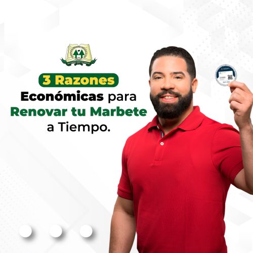 3 Razones Económicas para Renovar tu Marbete a Tiempo